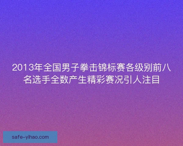 2013年全国男子拳击锦标赛各级别前八名选手全数产生精彩赛况引人注目