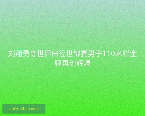 刘翔勇夺世界田径世锦赛男子110米栏金牌再创辉煌